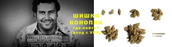 бошки Алексин
