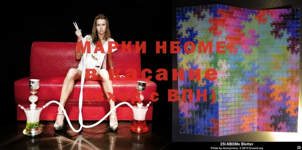 бошки Алексин