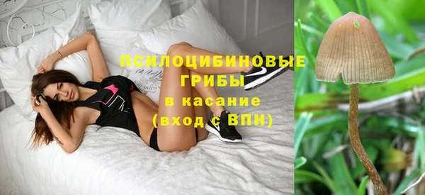 а пвп мука Алзамай