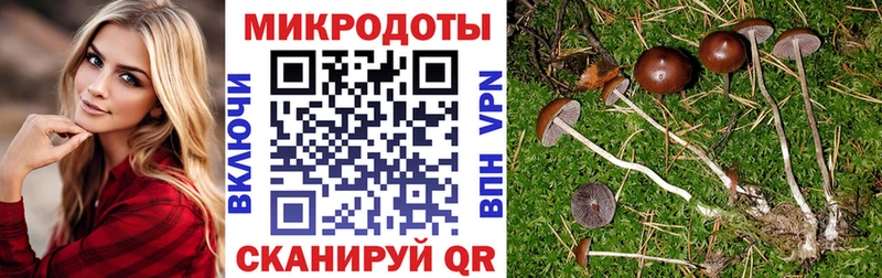 Псилоцибиновые грибы Cubensis  цена наркотик  Когалым 