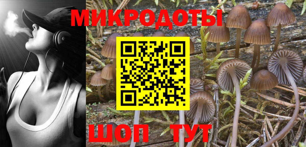 Псилоцибиновые грибы Psilocybe Когалым