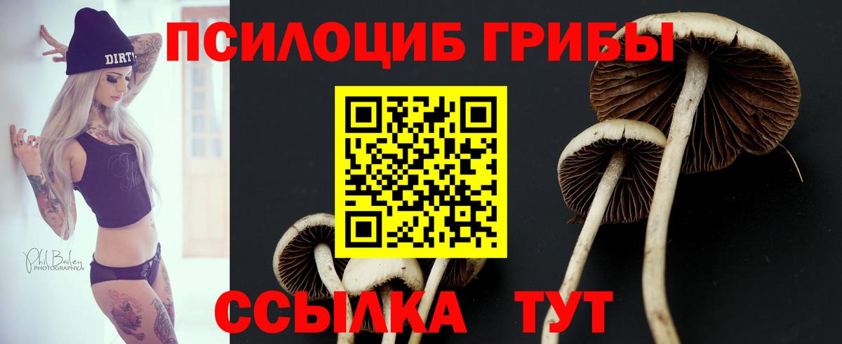 Галлюциногенные грибы Psilocybine cubensis  Вход с VPN  сколько стоит  Когалым 
